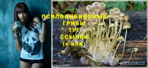дживик Елабуга