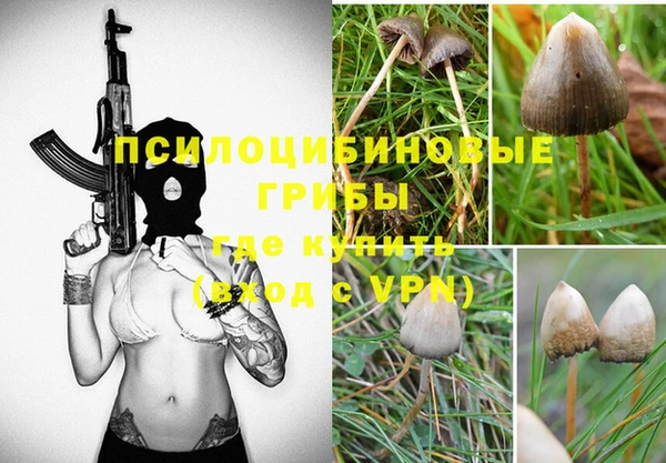 меф Елизово