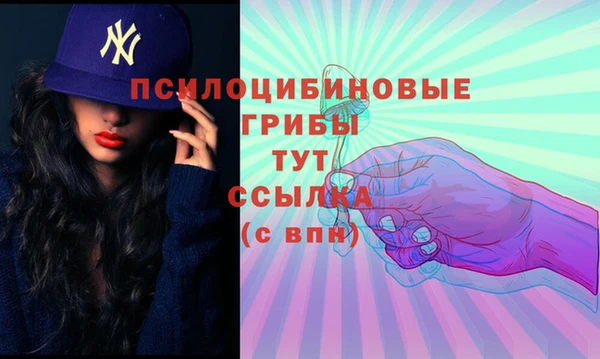 mdma Заводоуковск