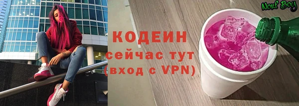 a pvp Ельня