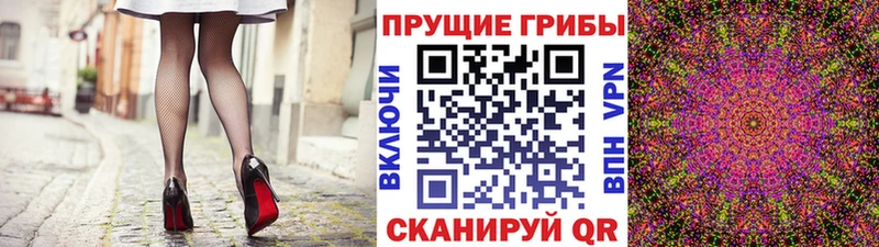 Псилоцибиновые грибы Psilocybine cubensis  Первоуральск 